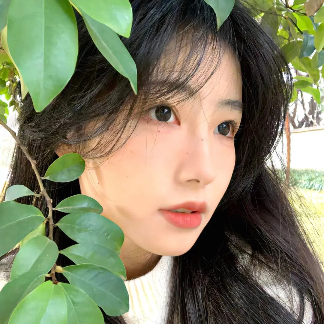 似锦