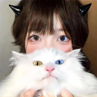 半田君传说